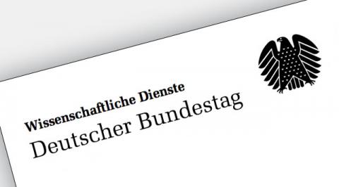 Wissenschaftlicher Dienst des Bundestages Bericht